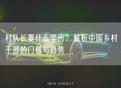 村队长要什么学历？解析中国乡村干部的门槛与趋势