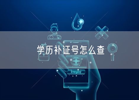 学历补证号怎么查