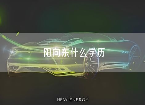 阳向东什么学历