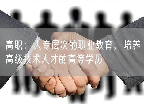 高职：大专层次的职业教育，培养高级技术人才的高等学历