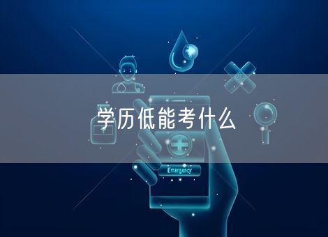 学历低能考什么