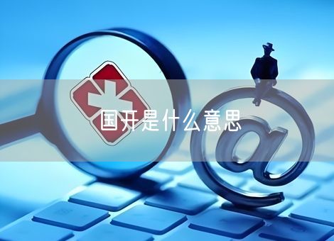 国开是什么意思