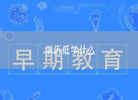 学历低学什么
