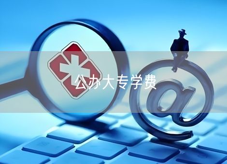 公办大专学费